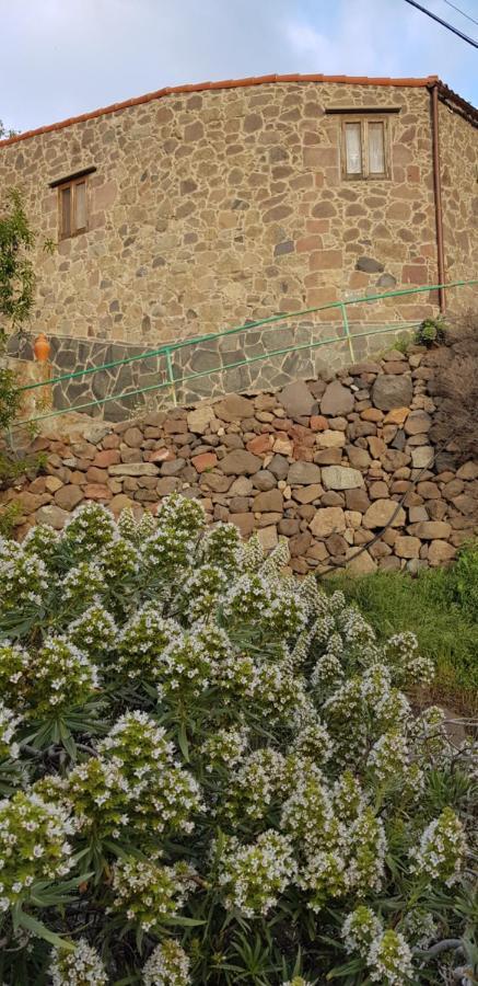 El Rinconcito De Tejeda Villa Exteriör bild
